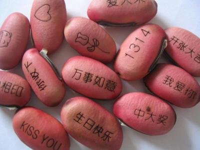 魔豆激光打標樣品圖